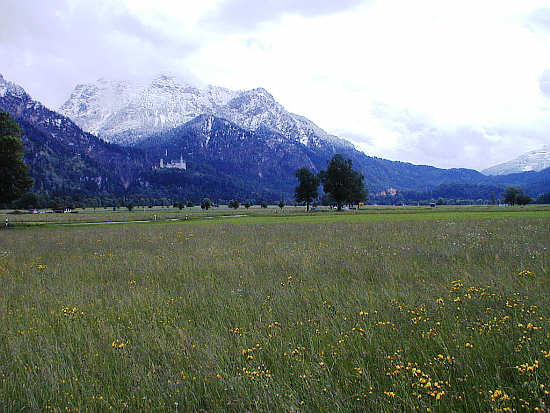 Schloss Neuschwanstein, von der Ebene bei Schwangau aus gesehen
