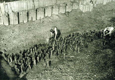 Palisade der Ufersiedlung