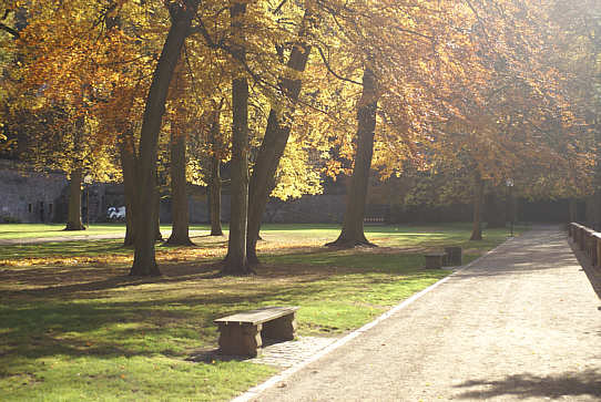 Scheffelterrasse im Herbstlicht