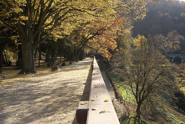 Scheffelterrasse im Heidelberger Schlossgarten