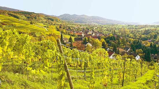 Markgräflerland: Hinter dem
