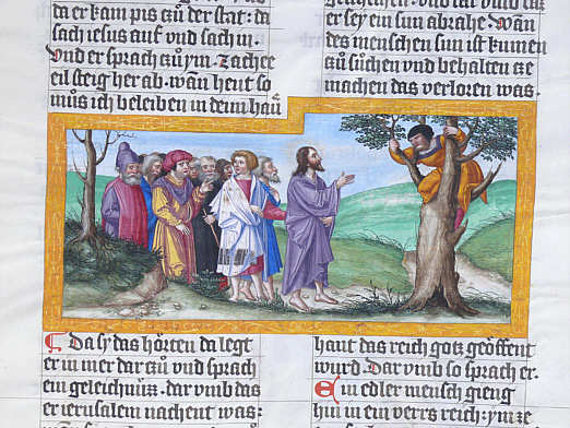 Jesus spricht zu Zachäus im Maulbeerbaum. Ottheinrich-Bibel, Cgm 8010/3, Bl. 101r. Mathis Gerung, 1530-1532 © Bayerische Staatsbibliothek