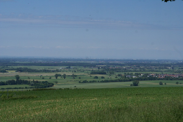 Blick vom Schutterlindenberg über die Ebene bis zum Straßburger Münster. Dahinter verliert sich der Blick und die Vogesenberge sind nur noch zu ahnen.