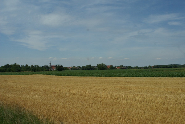 Meißenheim in der Ebene des Rieds