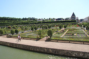 Blick über den Gemüsegarten