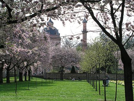 Schwetzingen: Kirschgarten mit Moschee
