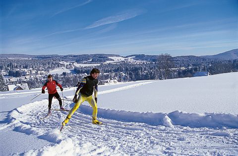 Auf der Loipe bei Hinterzarten. © TI Hinterzarten