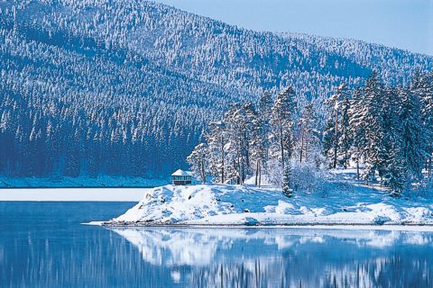Winterstimmung am Schluchsee. © TI Schluchsee