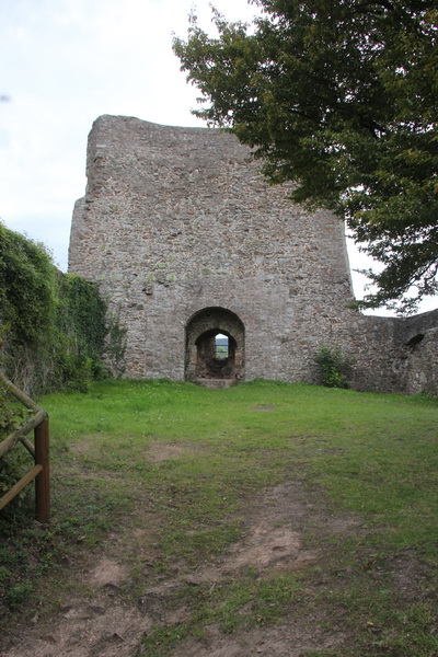 Michelsburg, Reste der Burganlage