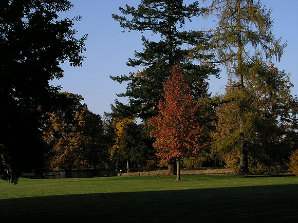 Schlosspark Favorite