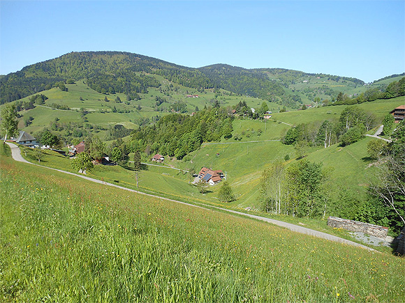 Offene Schwarzwaldlandschaft bei Weiden. Die Gr&uuml;nlandpflege erh&auml;lt den Landschaftscharakter und damit die Attrktivit&auml;t des Schwarzwalds f&uuml;r seine G&auml;ste. Foto: Jean-Marie Henry/Naturpark S&uuml;dschwarzwald