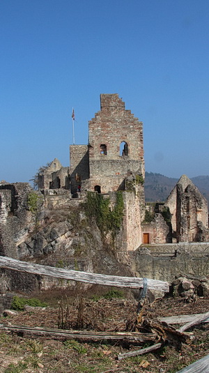 Die Kernburg vom vorderen Plateau aus gesehen