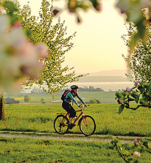 Tourenportal Vierländerregion Bodensee: Radfahren