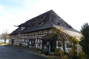 Die Torkel in Bodman. Torkelbaum und Gebäude. © Deutsche Stiftung Denkmalschutz/Wegner