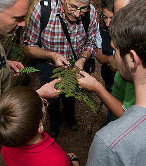 Gästeführer bei der Erklärung von Einzelheiten aus der Natur