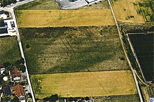 Luftbild des Landesamtes für Denkmalpflege im Bereich der Gewerbegebietserweiterung in Welschingen. Aus großer Höhe zeichnen sich die bei archäologischen Ausgrabungen aufgedeckten Palisadengräben einer keltischen Siedlung als dunkle Verfärbungen im Getreide ab. 