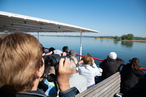Vogelbeobachtung vom Schiff aus. Foto: Schweizerische Schifffahrtsgesellschaft Untersee und Rhein AG.