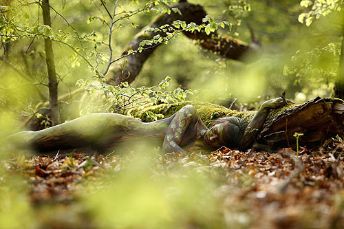 Frühlingsleuchten (© L. Pregizer/U. Schmida/J. Düsterwald/L. Gené)