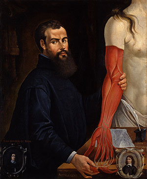 Pierre Poncet II: Bildnis des Anatomen Andreas Vesal, 2. Viertel 17. Jh. Bild: Centre Hospitalier Régional d'Orléans, dépôt au Musée des Beaux-Arts d'Orléans, Foto: François Lauginie