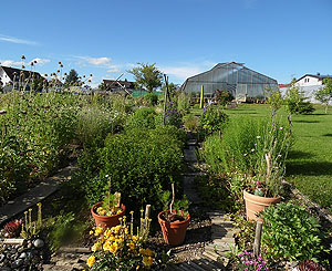 Der Pfiffikuss-Kräutergarten. Rund hundert Heilkräuter gibt es im „Pfiffikuss-Kräutergarten“ zu sehen. 2020 ist der Garten zum ersten Mal beim GartenRendezvous dabei. Bild: Kräutergarten Pfiffikus