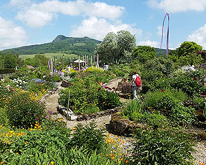 Syringa Duftgarten. Einen Steinwurf vom Vulkankegel Hohentwiel entfernt blüht der ausladende Syringa Duftgarten, er lockt mit Duft- und Würzkräutern Besucher an. Bild: Syringa