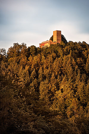 Ruine Yburg. Foto: Günther Bayerl /SSG