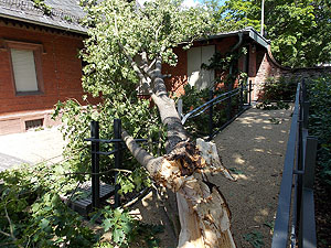 Stumschäden am Wächterhaus. Fotos Annabel Rogge, Vermögen und Bau Baden-Württemberg