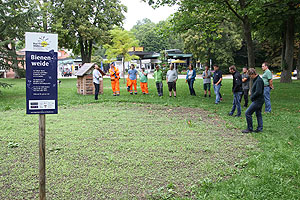 Vorstellung und Diskussion einer insektenfreundlichen Maßnahme im Salinenpark. Hier wurde erstmals eine mehrjährige Blumenmischung ausgesät.
