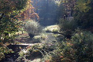 Schlossgarten Schwetzingen: Herbststimmung im Wiesentälchen und am Kanal