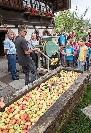 Während der Apfeltage können die Museumsgäste im Freilichtmuseum Vogtsbauernhof das Mosten, die traditionelle Herstellung von Apfelsaft in der Trotte, erleben. Foto: Schwarzwälder Freilichtmuseum Vogtsbauernhof, Hans-Jörg Haas