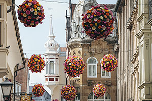 Blumenbälle in der Rosgartenstraße als Frühlingsgruß. Foto: MTK, Leo Leister