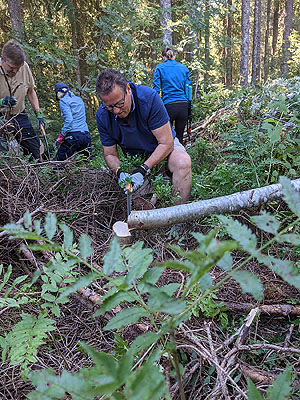 Peter Hauk packte bei seinem Besuch im Naturpark Südschwarzwald selbst kräftig mit an beim Voluntourismus-Einsatz. Bild: Naturpark Südschwarzwald e. V.