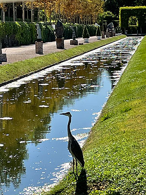 Schlossgarten Schwetzingen, Kanal im Oraengeriegarten. Foto: kulturer.be