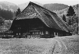 Streifzug in die Vergangenheit: Prof. Dr. Peter Schneider erläutert am 3. Oktober anhand der Baustruktur die Vergangenheit des Vogtsbauernhofs. Foto: Archiv des Schwarzwälder Freilichtmuseums Vogtsbauernhof, Familie Aberle 