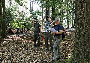 Mit dem Fernglas studieren die Inventurteams die Baumkronen auf ihre Transparenz und auf Schäden.