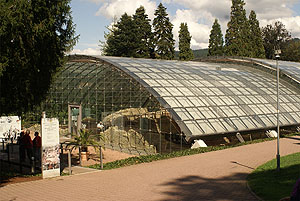 Badenweiler. Burg mit Kurhaus und römische Badruine mit modernem Schutzdach. Beide Fotos: kulturer.be