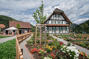 Bei der freien Sonderführung am 10. September lernen Interessierte einige Museumsgärten, darunter der Garten beim Ortenauhaus, näher kennen. Foto: Schwarzwälder Freilichtmuseum Vogtsbauernhof, Hans-Jörg Haas