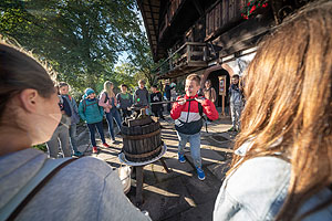 Zum Erntedankfest am 1. Oktober dürfen die jüngsten Museumsbesucher bei der Apfellese und dem anschließenden Mosten helfen. Foto: Schwarzwälder Freilichtmuseums Vogtsbauernhof, Hans-Jörg Haas