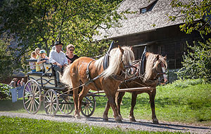 Wer das Museum hoch zu Ross erkunden möchte, kann dies bei einer Fahrt mit der Pferdekutsche tun. Foto: Schwarzwälder Freilichtmuseum Vogtsbauernhof, Hans-Jörg Haas