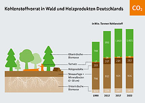 Grafik zur Veränderungen des Kohlenstoffvorrates in Wald und Holzprodukten