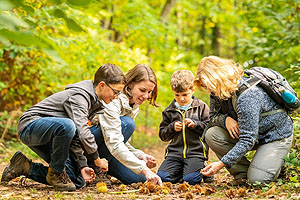 Familie mit Kindern auf dem Keschde-Erlebnisweg Leinsweiler © Foto: Dominik Ketz, CC BY-ND
