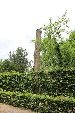 Schlossgarten Schwetzingen, aus Sicherungsgründen gestutzter Ahorn. Foto: kulturer.be