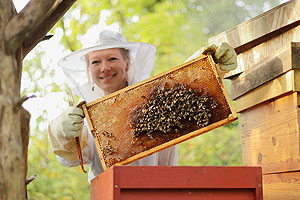 Schlossgarten Schwetzingen, Imkerin Alexandra Großhans bei der Arbeit. Foto: Alexandra Großhans/ssg