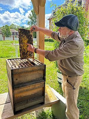 Imker Martin Rausch bei der Arbeit mit den Bienen