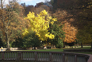 Der Heidelberger Schlossgarten im Herbst.