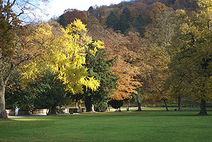 Schloss Heidelberg, Hauptterrasse des Schlossgartens.