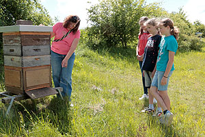 Kinder sehen einer Imkerin zu