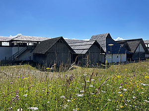 Blühwiese vor den Häusern der Heuneburg.