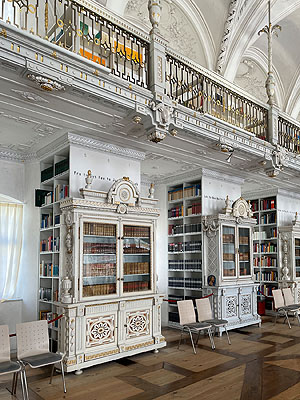 Bibliothekssaal