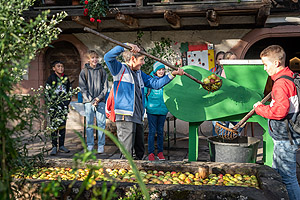 Kinder bei der Wäsche der Äpfel
